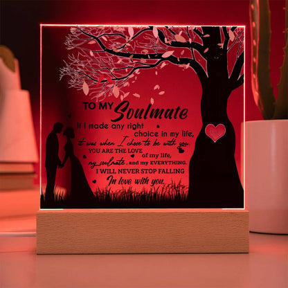 To My Soulmate - "I Will Never Stop Falling In Love With You." - Acrylic Square Plaque